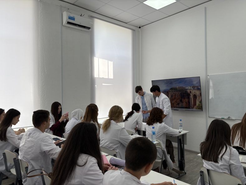 Какое образование получают в колледжах