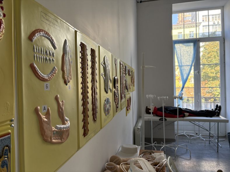 Изучение протоколов помощи при анафилаксии в программе медицинских колледжей