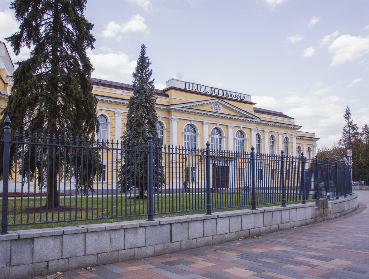 Тамбовский государственный университет им. Г.Р. Державина (Медицинский институт ТГУ)