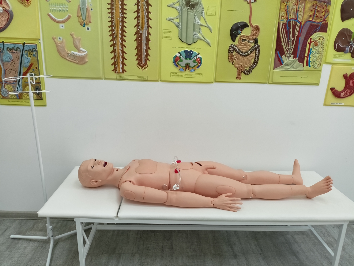 Паллиативный уход: задачи и навыки медсестры