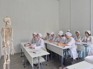 Как проходят занятия по анатомии и общему уходу в «МедСкиллс»