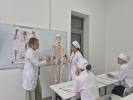 Как проходят занятия по анатомии и общему уходу в «МедСкиллс»